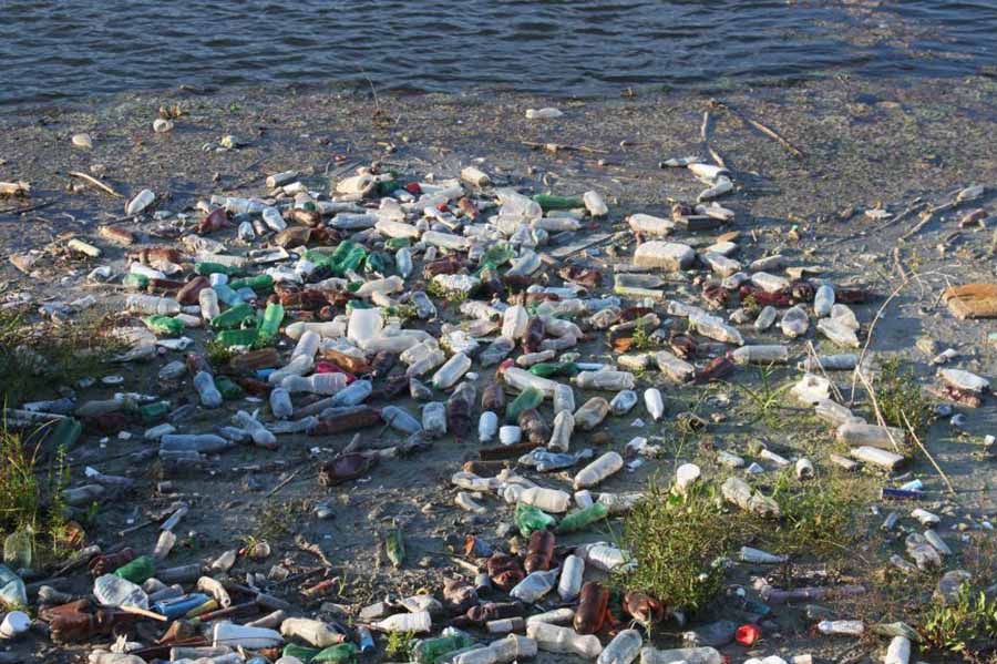 Are Plastic Water Bottles Biodegradable