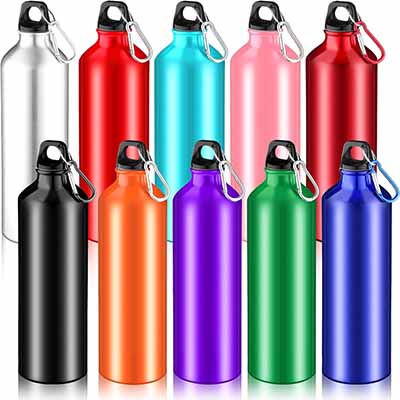 Mimorou 10 Pack Aluminum Water Bottle