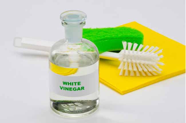 White Vinegar  for Plastic Bottle Cleaning